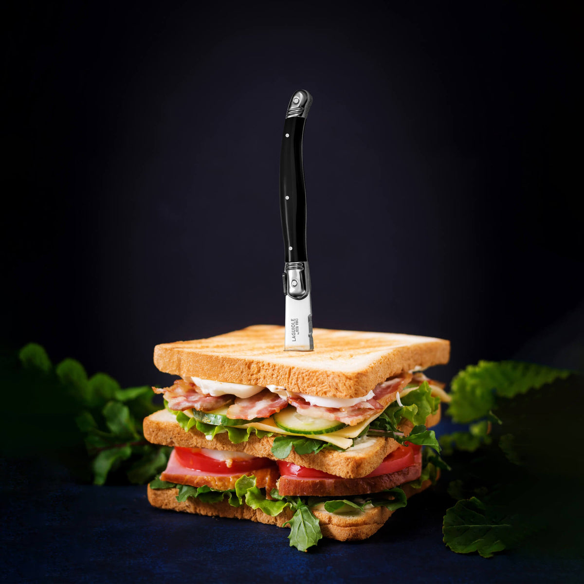 Avanza Steakmessen (6-delig) – Zwart